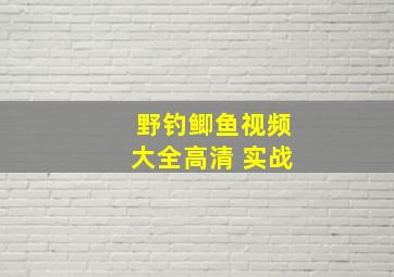 野钓鲫鱼视频大全高清 实战